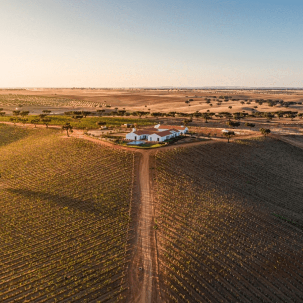 Herdade da Malhadinha Nova